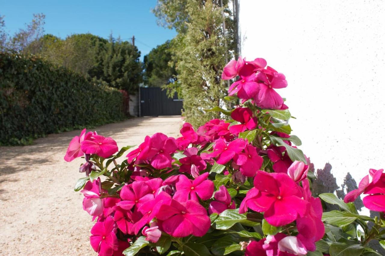 Finca Paredes Valdetorres de Jarama Exterior foto
