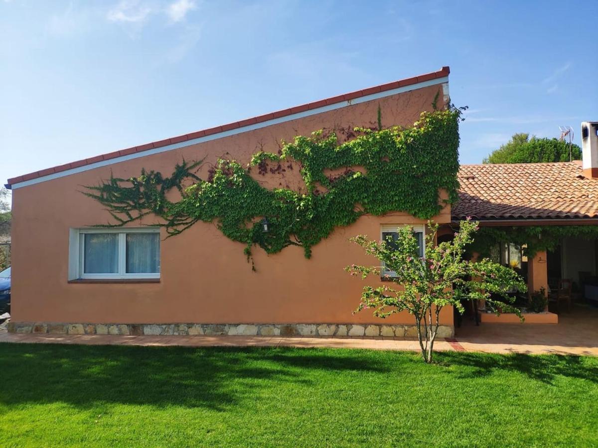 Finca Paredes Valdetorres de Jarama Exterior foto