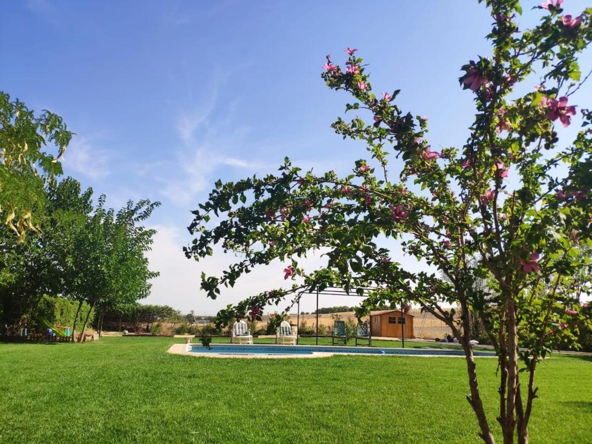 Finca Paredes Valdetorres de Jarama Exterior foto
